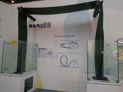 -山东省科技馆(新馆)