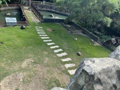 -广东惠东海龟国家级自然保护区