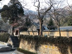 -青岛崂山太清宫
