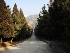 -龙口南山旅游景区