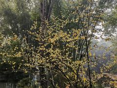 -成都杜甫草堂博物馆