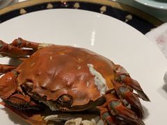 -皇朝会.经典传统粤菜(外滩店)