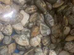 -鑫渔港海鲜本地菜·山海关浑锅(东戴河店)