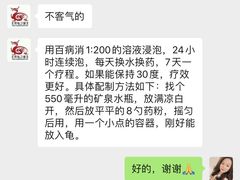 -灵龟之家百象馆(百象馆联合旗舰店)