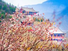 -云丘山景区