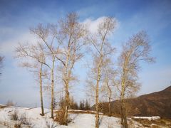 -富龙滑雪场