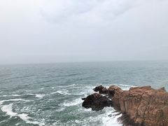 -枸杞岛