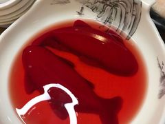 -青瓷火锅料理(西单大悦城店)