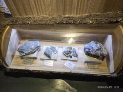 -陕西自然博物馆