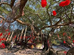 -广东天露山旅游度假区