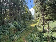 -苍山感通索道