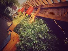 -慢丽江·云南野生菌土鸡锅(付家庄店)