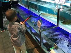 -盒马X会员店(王府井奥莱UP TOWN店)