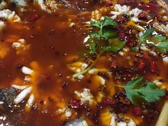 -重庆乌鱼庄·龙滋鲜(青羊大道店)