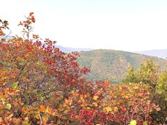 -北京西山国家森林公园