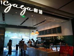 -gaga(深圳南山益田假日广场店)