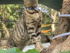 -楠溪江风景名胜区