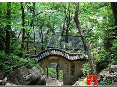 -抱犊崮国家森林公园