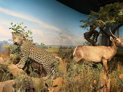 -陕西自然博物馆