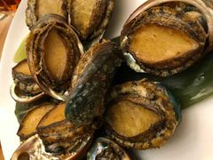 油焖活鲍鱼-海九澎湖海鲜餐厅