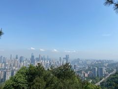 -南山植物园