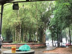 -仙湖旅游度假区