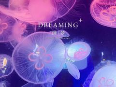 -海合安青岛极地海洋公园