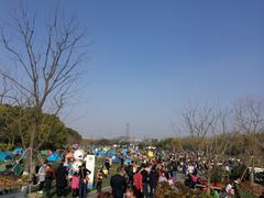 -昆山城市生态森林公园