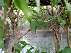 -厦门日月谷温泉渡假村