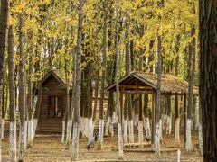 -艾溪湖湿地公园