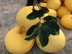 -漩门湾国家湿地公园