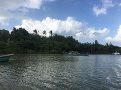 -东寨港红树林旅游区