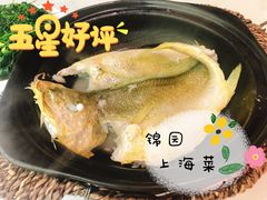 泉水黄花鱼-锦園(伊势丹美食城店)