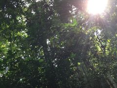 -纳兰傣雀傣味餐厅
