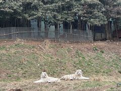 -宁波野生动物园