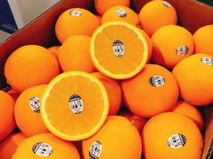 -上海龙吴水胜海发市场