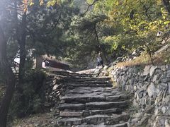 -北京鹫峰国家森林公园