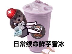 -CoCo都可(湖滨银泰店B区店)