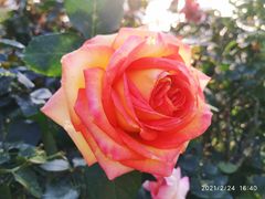 -文华公园(禅城区)