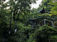 -柠季·手打柠檬茶(岳麓山登高路店)