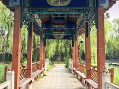 -大望京公园