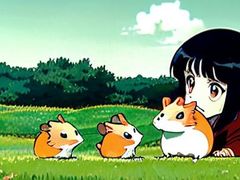 -菲尔斯特宠物医院