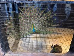 -酷嗒动物文化乐园(cutezoo西溪乐天城店)