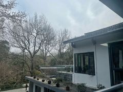 -山外山菜馆(玉泉路店)