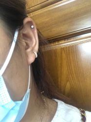 -花师傅