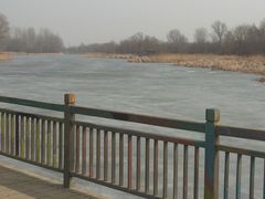 -蒲河岛湿地公园