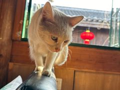 -前童古镇