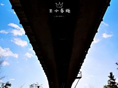 -永定河休闲森林公园