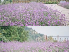 -云峰山自然风景区