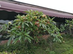 景观位-花溪雨·森林餐厅(石基店)